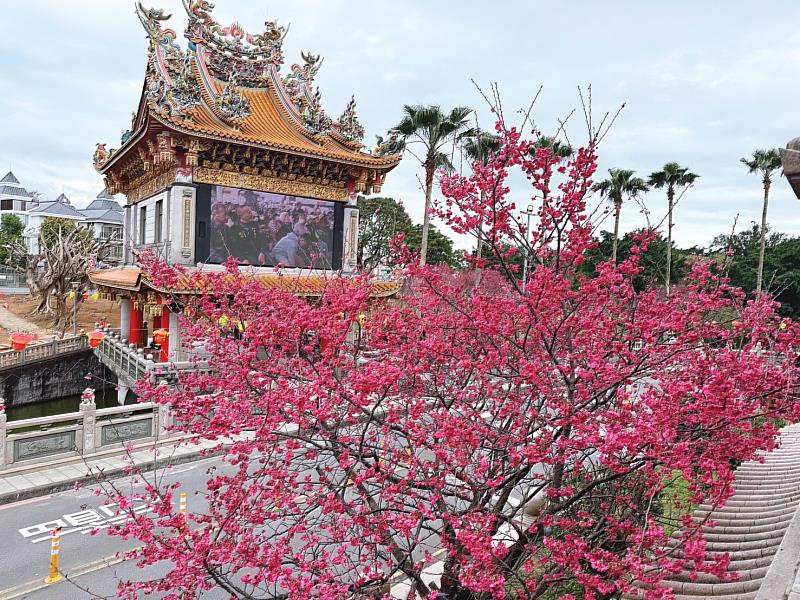 竹林山寺不僅是當地著名的宗教聖地,其四周種植的櫻花更是春季不可錯過的賞花景點
