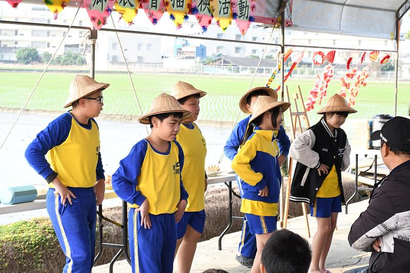 「綠野稻香菁埔情」菁埔國小下田體驗插秧種稻趣