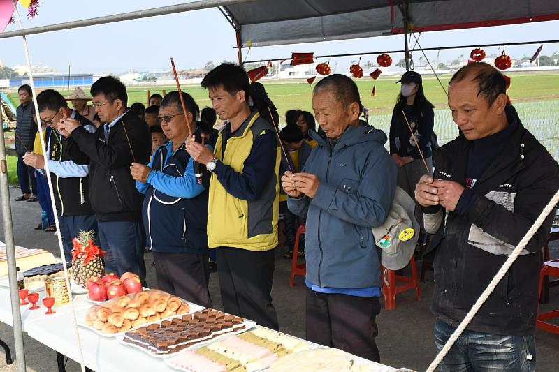 「綠野稻香菁埔情」菁埔國小下田體驗插秧種稻趣