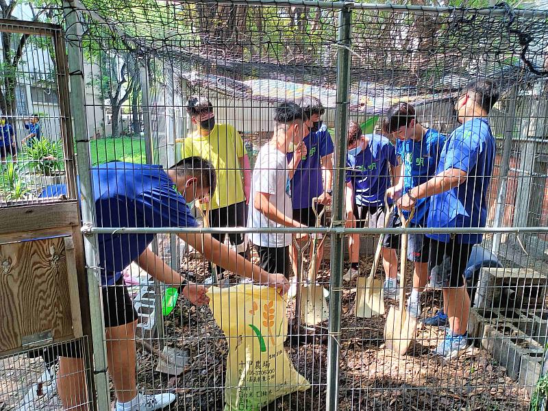 高雄特殊教育學校與道明中學合作，在校園裡飼養母雞病掃落葉製作堆肥，建立永續循環校園。