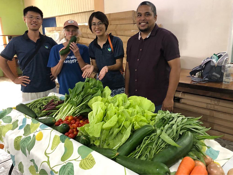 由國合會駐馬紹爾技術團提供的蔬菜