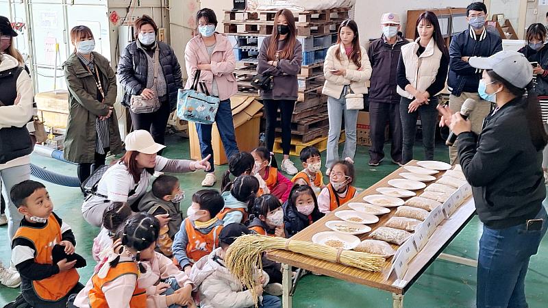 彰化鵝媽媽幼兒園師生、家長實地瞭解白米生產過程及親自體驗碾米。