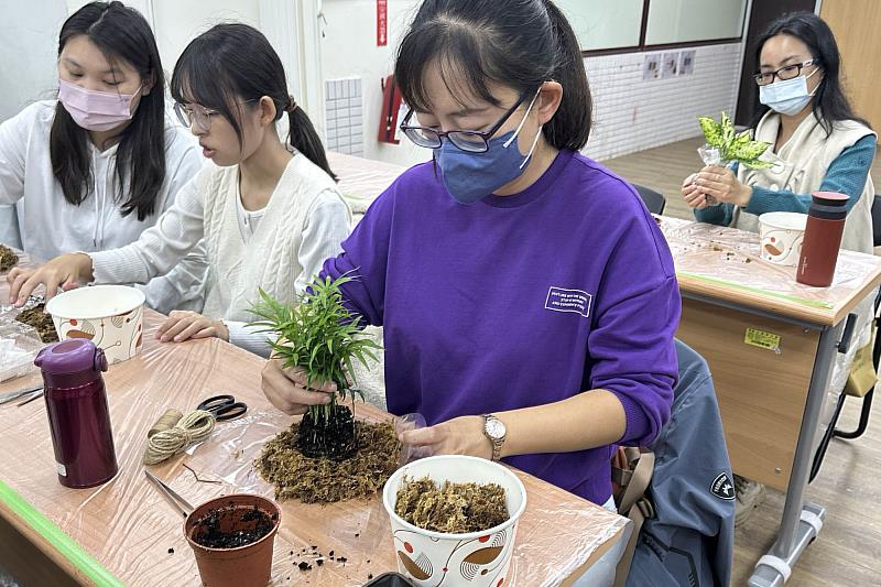 南大新育成中心手作於自己的苔球盆景