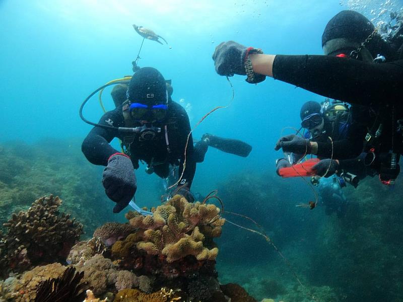 「臺東縣淨海聯盟」保育海洋成效卓越 113年清除3,811公斤海廢 科技助力守護美麗臺東藍