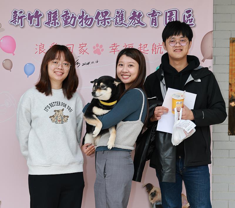 竹縣動保所悉心照料 非法繁殖場13隻柴犬3月12日開放認養