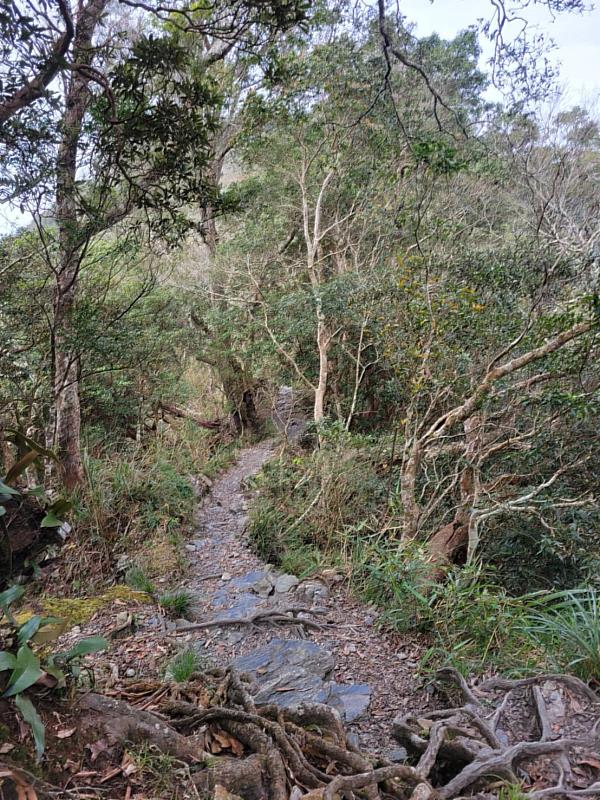 228連假北大武山步道及浸水營步道全線開放