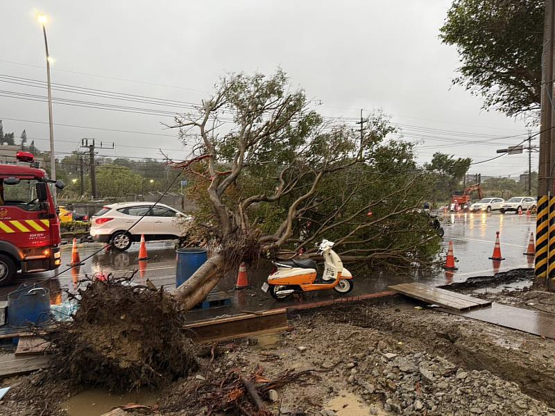 圖2 強降雨致香山中華路路樹倒塌，竹市府跨局處迅速應變恢復交通。