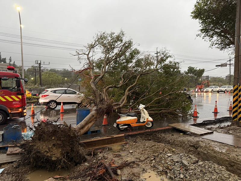 圖2 強降雨致香山中華路路樹倒塌,竹市府跨局處迅速應變恢復交通。
