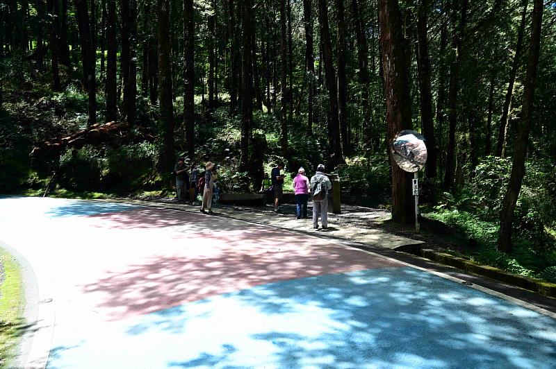祝山林道2.5k處同為水山療癒步道入口，本次整修將該路段鋪設彩色瀝青混凝土，提醒駕駛注意路況與遊客通行安全