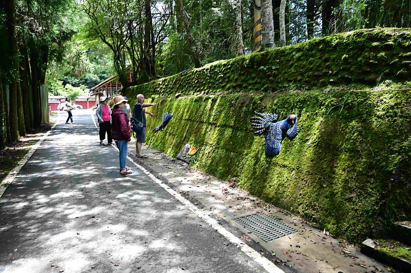 於祝山通往小笠原觀景區支線上，將原有擋土牆鑲嵌窯燒，以現地常出沒的臺灣帝雉作為意象，兼具觀賞及教育性