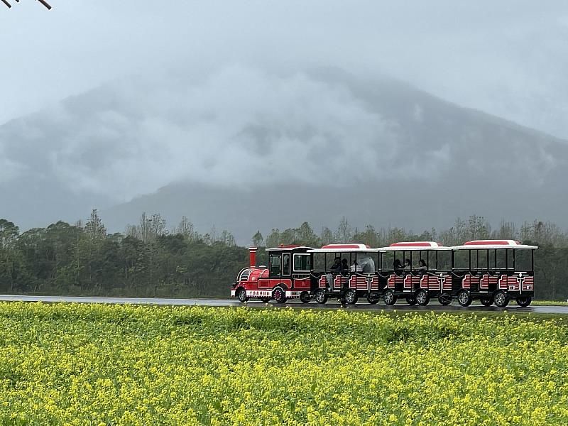 白天來大農大富平地森林園區搭乘小火車享受森林浴