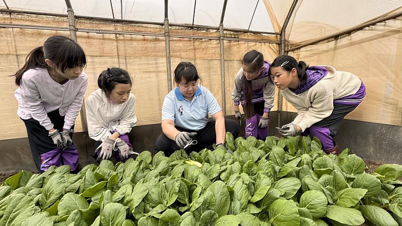 農場每年都舉辦上百場食農教育課程，帶領小學生親自種菜、採收，到最後由學生自己義賣，讓學生從中學習瞭解有機種植對環境的重要性，及讓學生有社會服務的思維