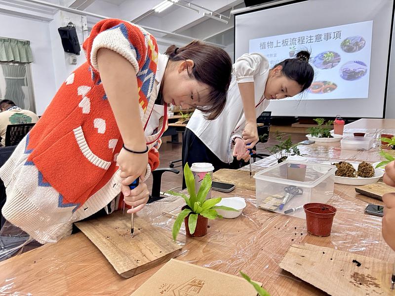 永續環境教育課程-植物上板