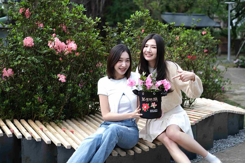 板橋花市消費打卡送萬金杜鵑