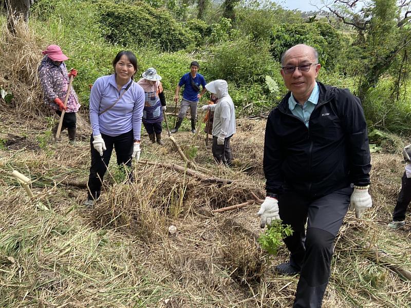 這次復植選擇了傳統製作酒麴常用到的黃荊及過山香，在大家的齊心栽植下，一共種了200株，後續也將由都歷部落進行認養及維護。