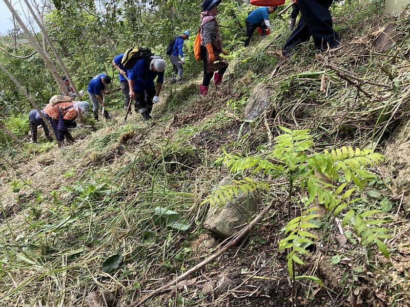 都歷部落族人們攜手一同種下當地阿美族人傳統酒麴植物