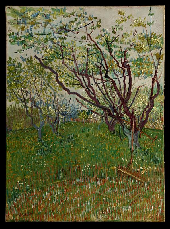 文森梵谷_花朵盛開的果園_1888 © The Metropolitan Museum of Art_Vincent Van Gogh_The Flowering Orchard（時藝多媒體提供）