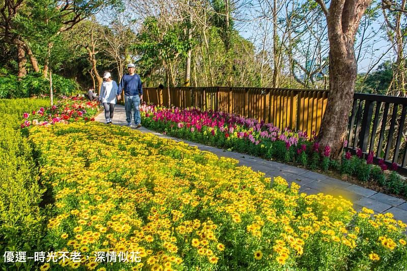 「2025新竹市賞花季花現十八尖山之美-青年攝影比賽」得獎作品