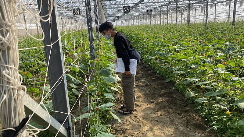 儲備植物醫師駐點為嘉義縣服務