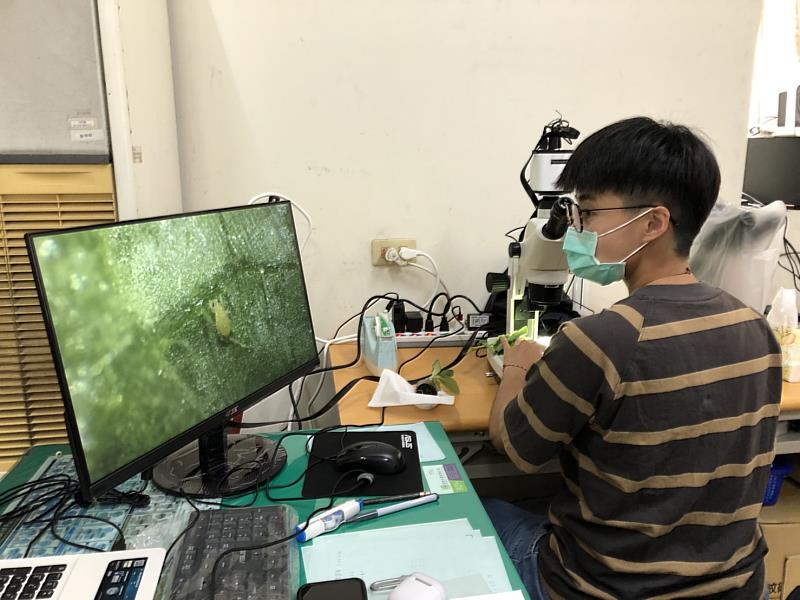 儲備植物醫師駐點為嘉義縣服務