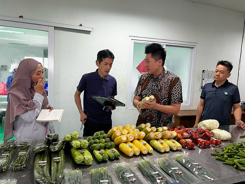 由駐印尼技術團王國恩技師分享駐團蔬果行銷經驗