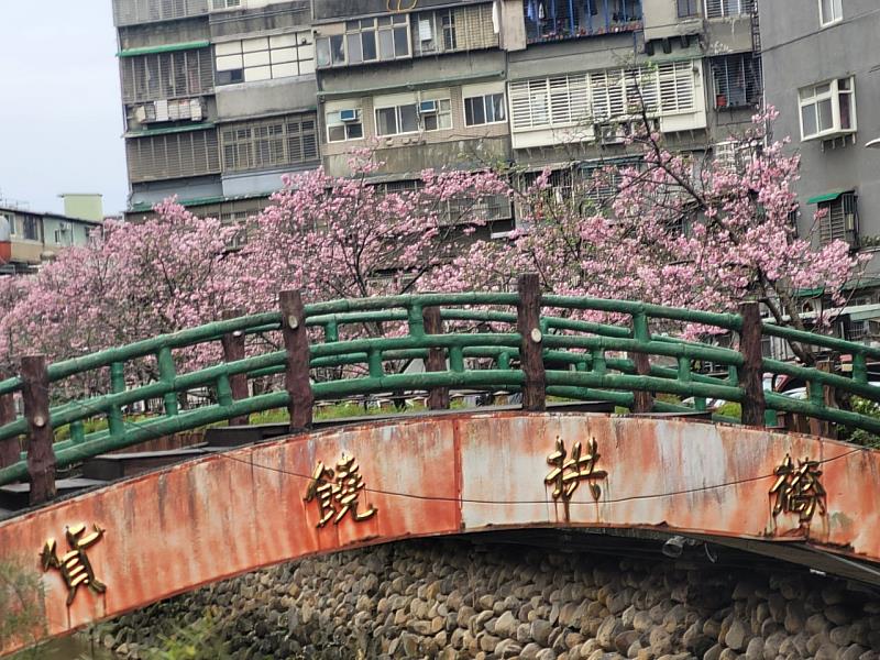 土城希望之河櫻花花期預計從3月上旬持續至中旬，歡迎民眾把握花期，前來感受這場春日限定的粉色視覺饗宴