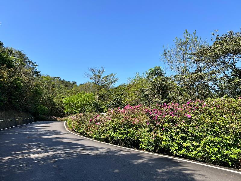 雙泰產業道路屬郊山型廊道，沿途可觀賞綠樹以及山櫻花、杜鵑、繡球花等，每到春季花期呈現百花爭艷的美景