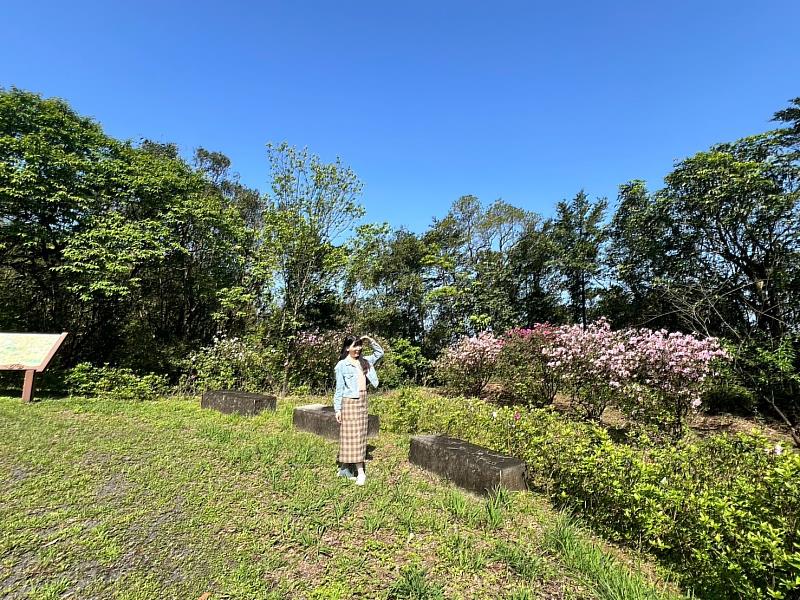 到雙泰產業道路不論健行賞花、騎自行車或是沿途車遊都可飽覽杜鵑花之美