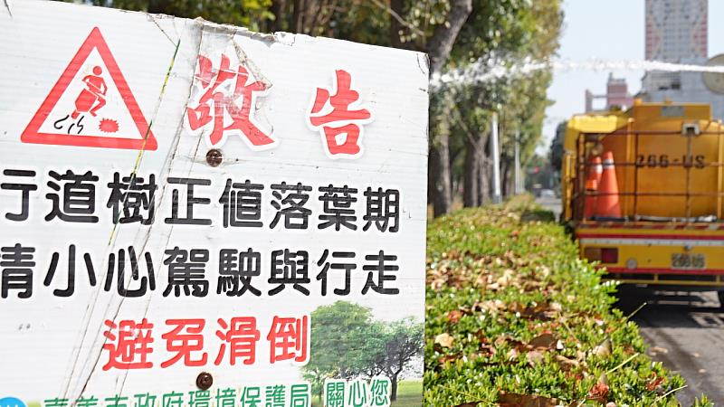 正值桃花心木落葉期 嘉市讓「落葉變黃金」化作堆肥更護花