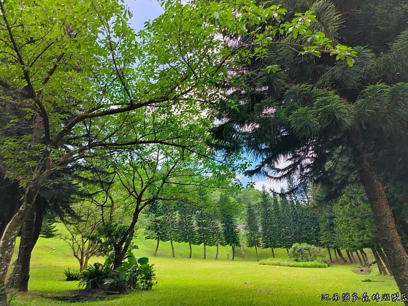 池南國家森林遊樂區大草坪