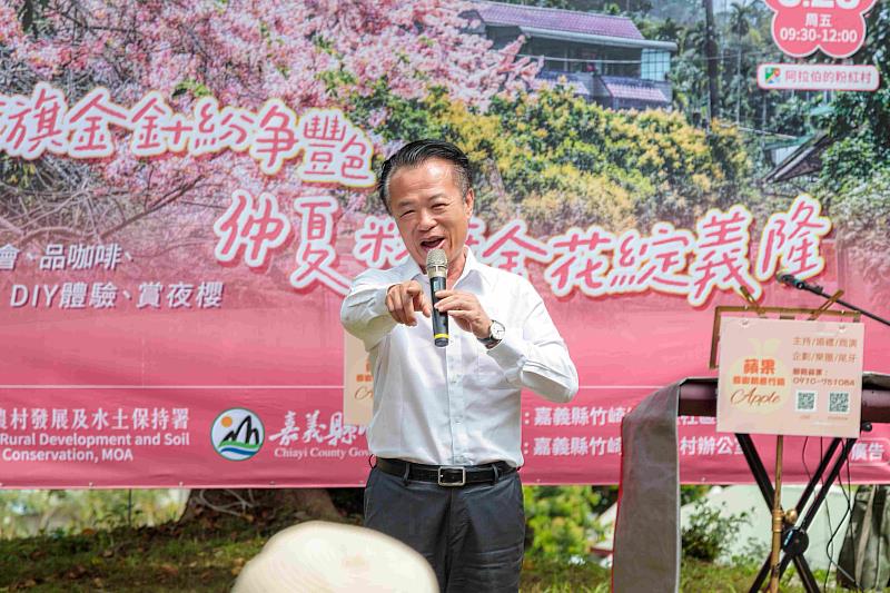 嘉義「阿拉伯粉紅村」開園 粉紅花旗木將綻放