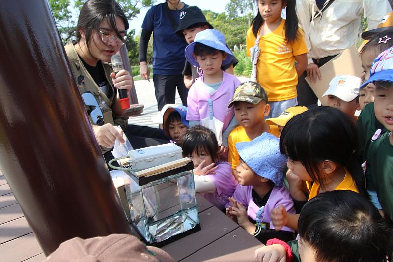 臺東森林公園2.0全新登場！升級版生態樂園歡迎大小朋友兒童節來探索