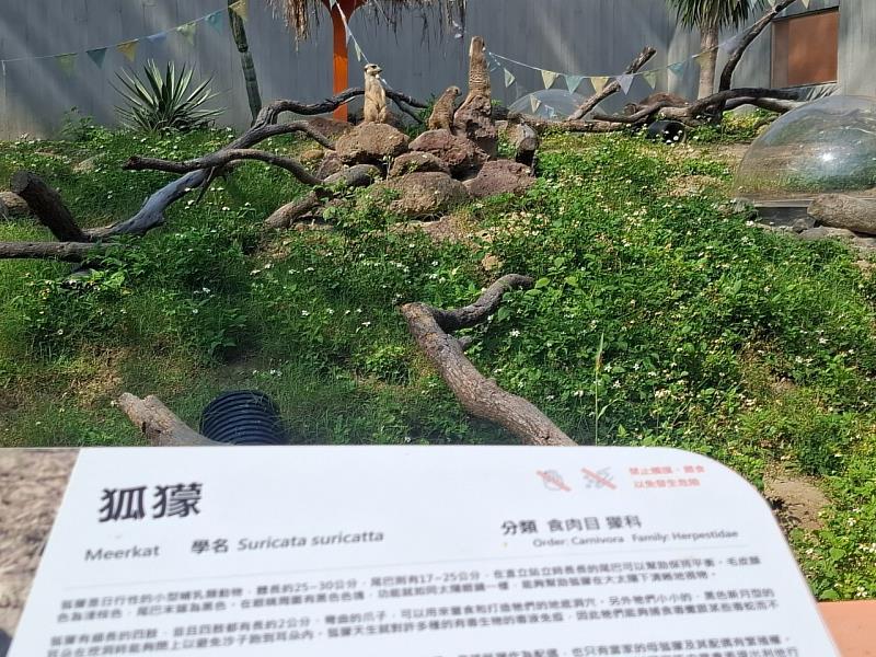 竹市府「誠信故事繪本電子書」結合市立動物園，寓教於樂扎根品格教育。