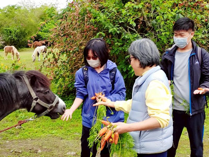參與南華社區推動的動物輔助教育活動,瞭解馬匹如何成為身心療癒的橋樑。
