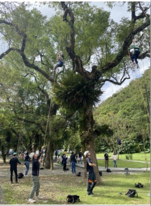 系列活動-攀樹挑戰