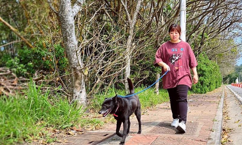 新竹市動保所提醒攻擊性犬隻注意事項，呼籲飼主落實管理責任，共創友善動物環境。