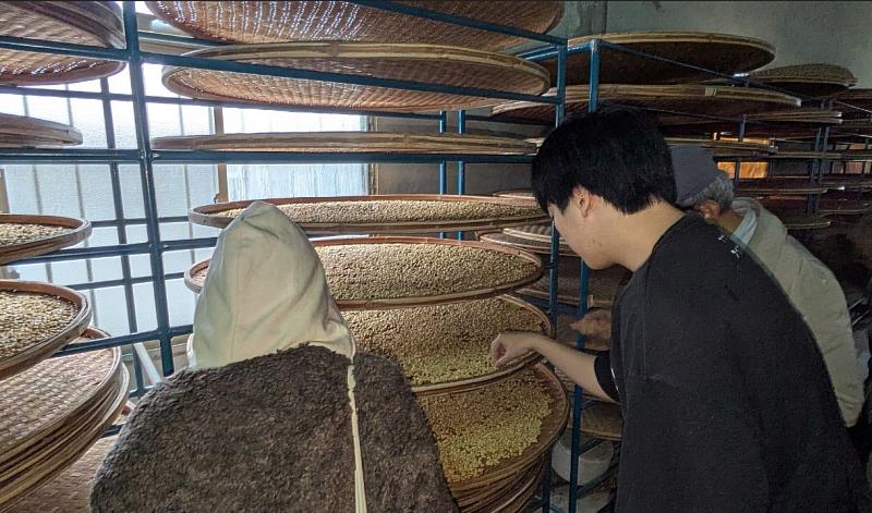 百年舞鶴咖啡園小農自製場域 (照片/中國科大提供)
