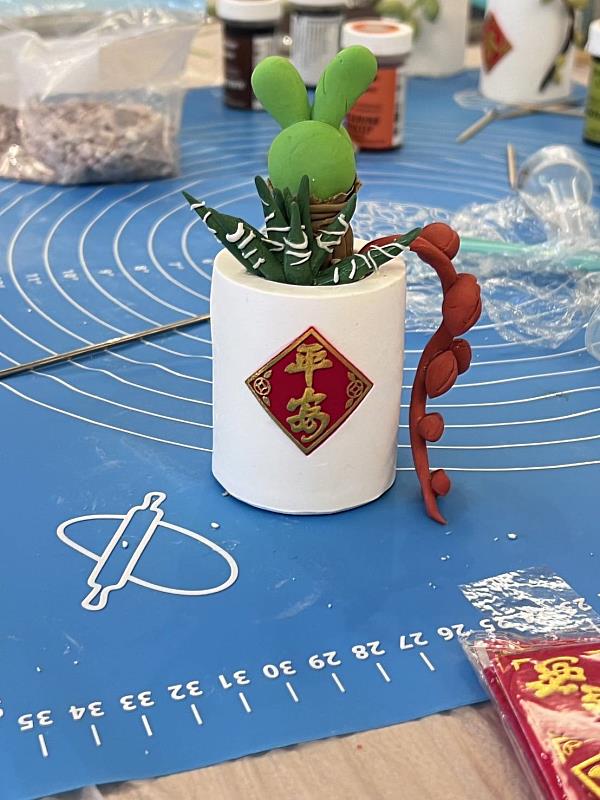 植物盆栽成品範例