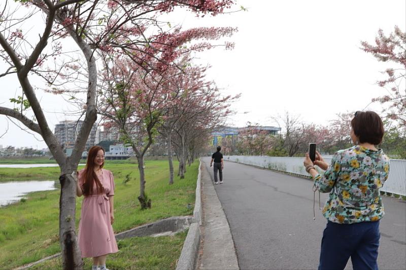 中華醫大與仁德滯洪池相鄰，師生佔地利之便可就近賞花