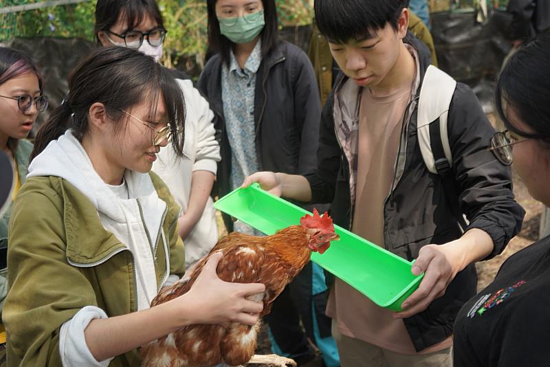 學生抱著雞老師餵食電解質水。