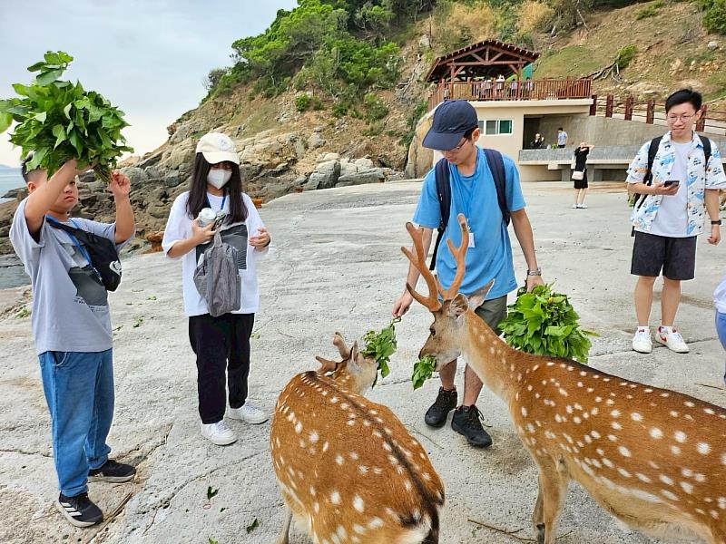 馬祖藍眼淚跳島日記