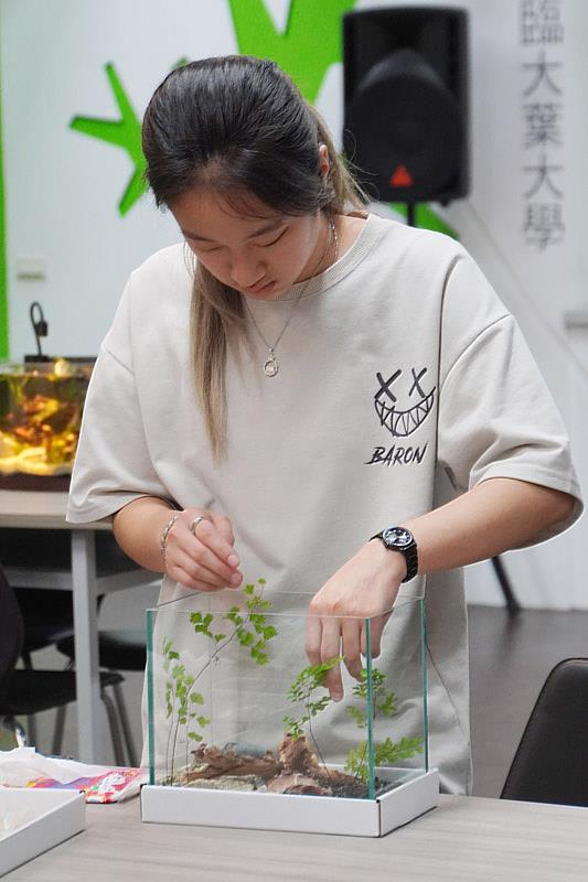 大葉大學藥保系學生專心打造微生態缸