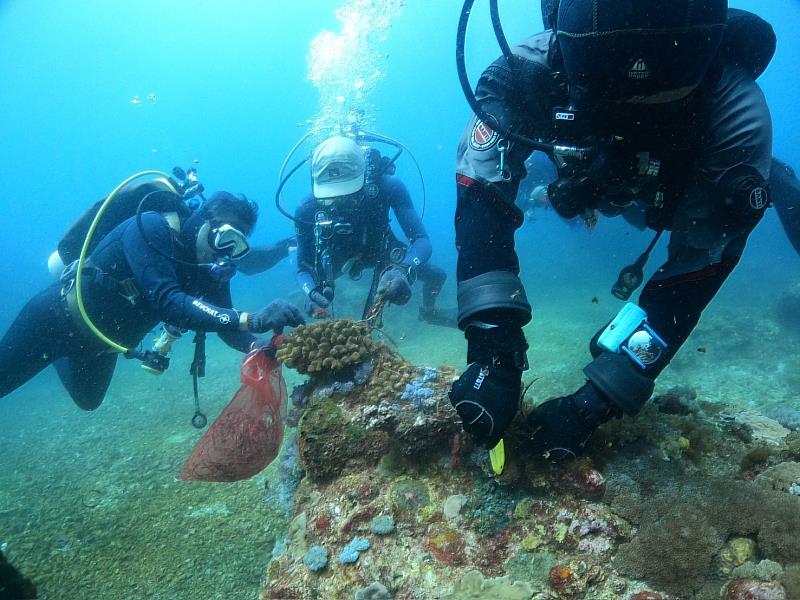 捷報! 海洋環境管理考核今頒獎 臺東縣榮獲特優縣市 饒慶鈴:持續推動永續海洋