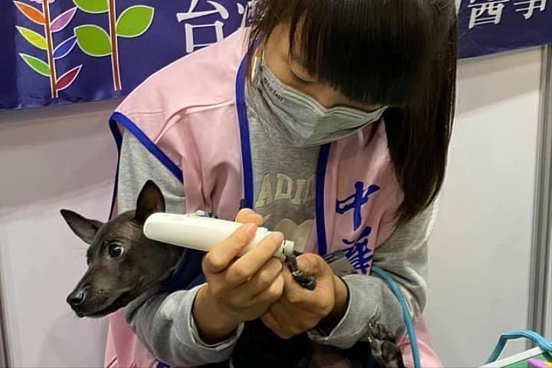 「搖尾草狗狗派對Tails Party！」寵物主題市集也有免費的狂犬病疫苗施打與晶片注射植入服務