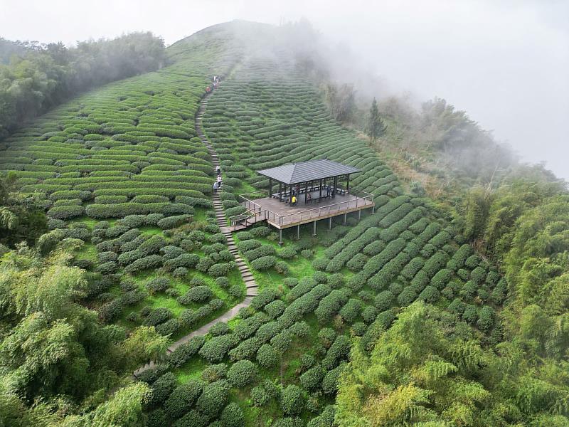 雲之南道步道