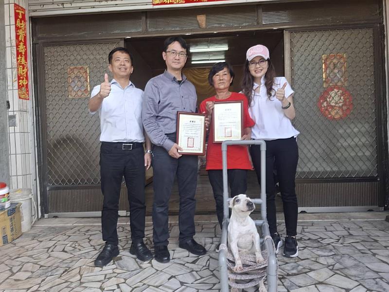 嘉義縣遭棄牛頭㹴獲愛心收養，經照護與復健微笑重生-4