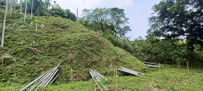 為建構台中西部淺山保育軸帶，113年於臺中市太平區完成新植造林