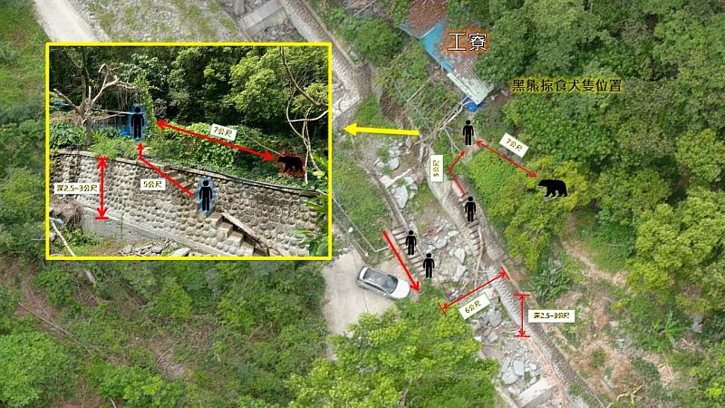 21日晚間巡護隊員遭遇黑熊的現場與人熊相對位置示意圖