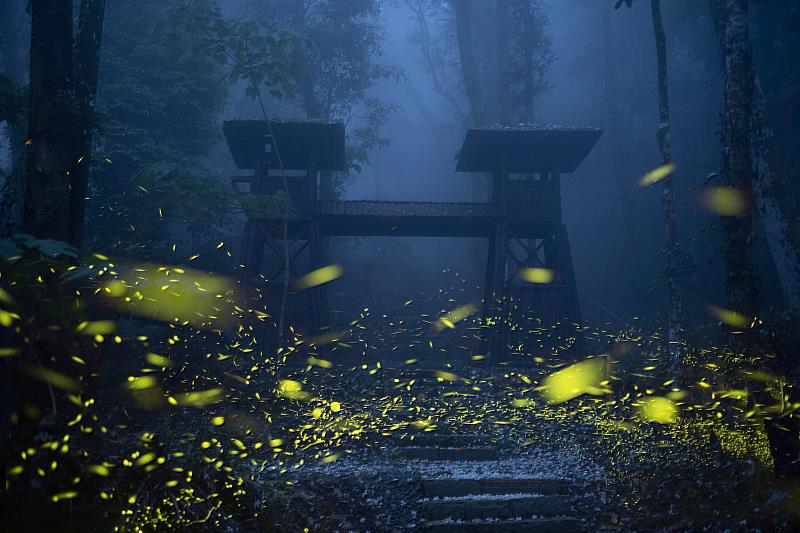 嘉義賞螢季限定!慢遊嘉義LINE官方帳號19家餐飲體驗享優惠