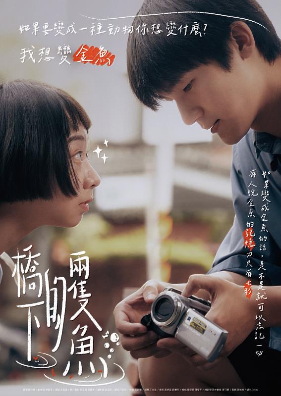 《橋下的兩隻魚》海報